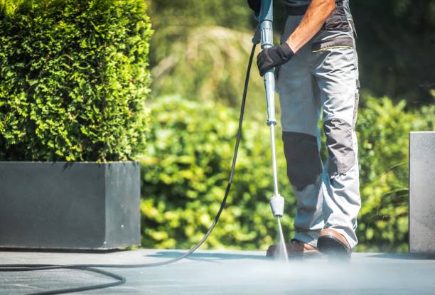 Best Driveway Pressure Washing  in Jackson, CA
