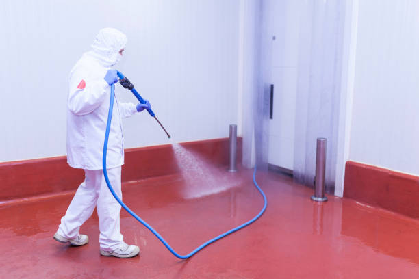 Best Pool Deck Cleaning  in Jackson, CA