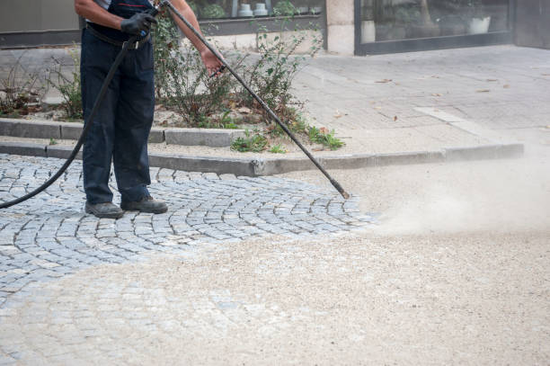 Best Roof Washing  in Jackson, CA